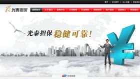 天津网站建设：宁夏光泰信用担保公司